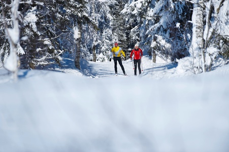 media/Oberstaufen/langlaufen-fuer-geniesser.jpg